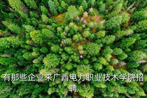 有那些企業(yè)來(lái)廣西電力職業(yè)技術(shù)學(xué)院招聘