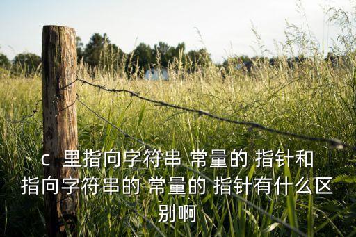 常量指針,C語言中數(shù)組名是一個(gè)常量指針