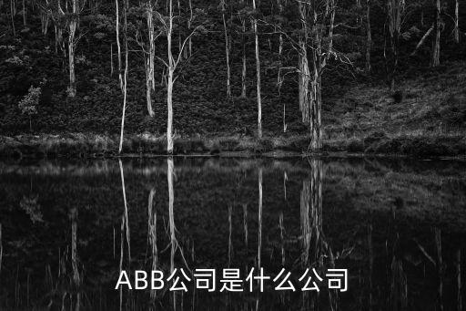 自動(dòng)化行業(yè)公司名,全球十大工業(yè)自動(dòng)化公司中國(guó)有幾家