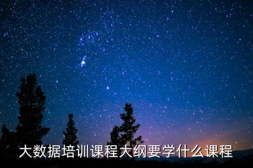 大數(shù)據(jù)培訓課程大綱要學什么課程