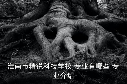 淮南市精銳科技學(xué)校 專業(yè)有哪些 專業(yè)介紹
