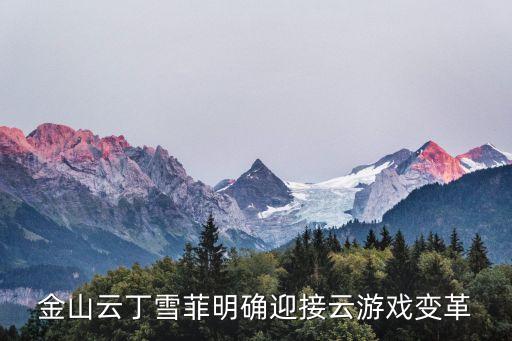 金山云丁雪菲明確迎接云游戲變革
