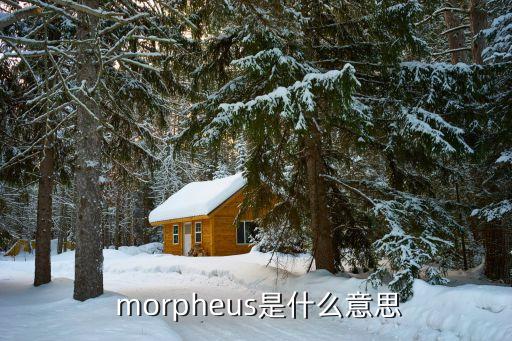 morpheus,MORPHEUS8 做面部的功效