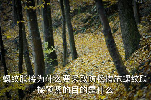 螺紋聯(lián)接為什么要采取防松措施螺紋聯(lián)接預(yù)緊的目的是什么
