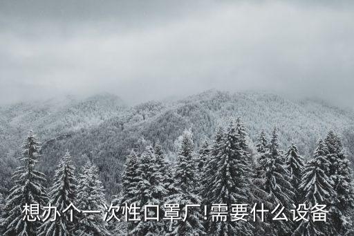 想辦個(gè)一次性口罩廠!需要什么設(shè)備