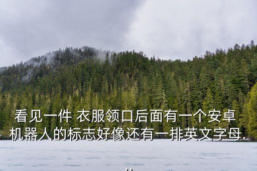 看見(jiàn)一件 衣服領(lǐng)口后面有一個(gè)安卓 機(jī)器人的標(biāo)志好像還有一排英文字母...