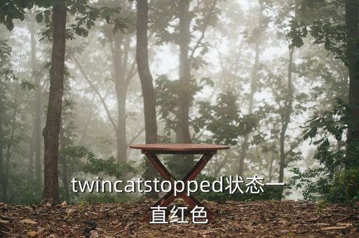 twincatstopped狀態(tài)一直紅色