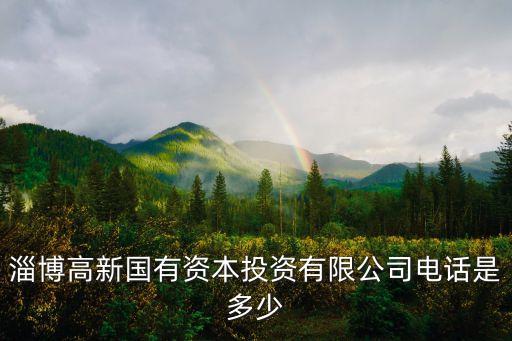 淄博高新國(guó)有資本投資有限公司電話是多少