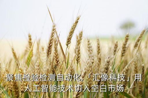 開(kāi)展自動(dòng)化設(shè)備檢驗(yàn)工作,檢驗(yàn)檢測(cè)全自動(dòng)化需要哪些設(shè)備?