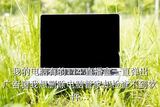 我的電腦有的114 直播盒一直彈出廣告窗我想刪除電腦管家卻檢查不到軟件...