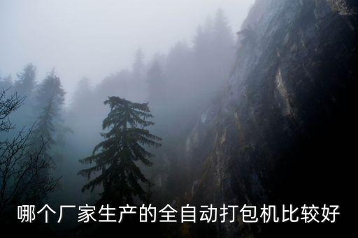 哪個廠家生產(chǎn)的全自動打包機(jī)比較好