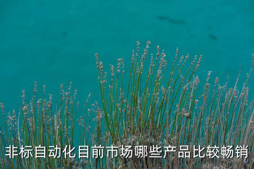 非標(biāo)自動(dòng)化目前市場(chǎng)哪些產(chǎn)品比較暢銷