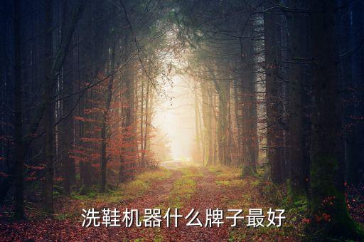  洗鞋機(jī)器什么牌子最好