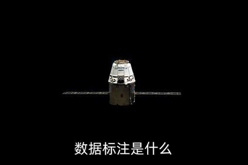 數(shù)據(jù)標(biāo)注是什么