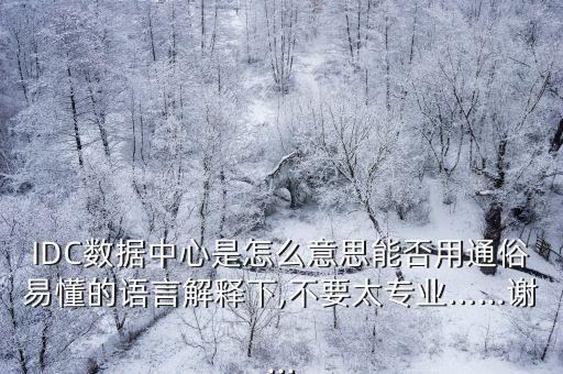 IDC數(shù)據(jù)中心是怎么意思能否用通俗易懂的語言解釋下,不要太專業(yè)……謝...