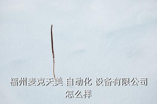 福州麥克天美 自動化 設(shè)備有限公司怎么樣