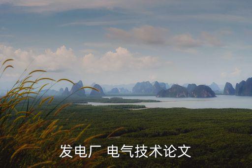 發(fā)電廠 電氣技術(shù)論文