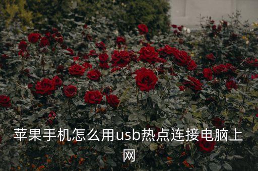 iphone 數(shù)據(jù)線 熱點,iphone熱點怎么開?