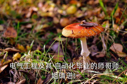 北京電氣及自動化招聘,中國礦業(yè)大學(xué)北京電氣及其自動化專業(yè)