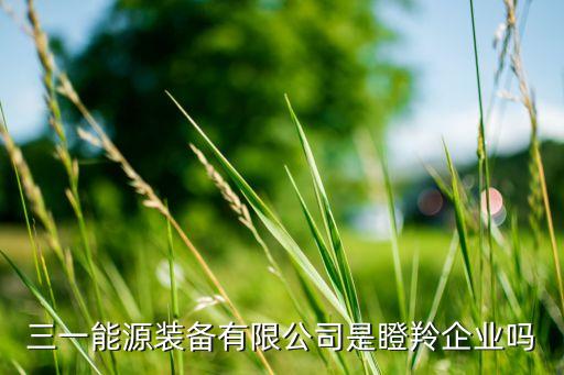 三一能源裝備有限公司是瞪羚企業(yè)嗎