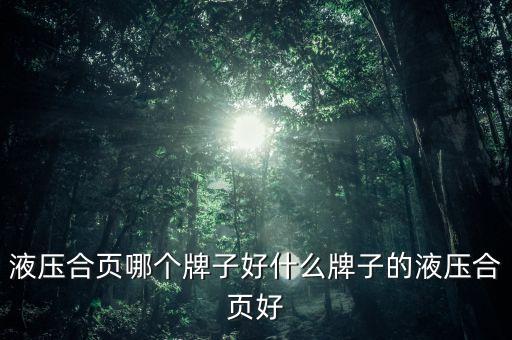 液壓合頁哪個牌子好什么牌子的液壓合頁好