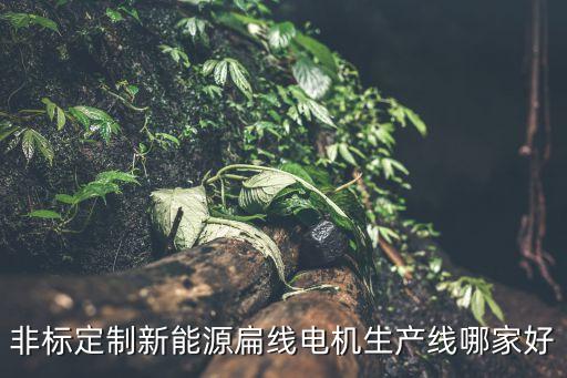 非標定制新能源扁線電機生產(chǎn)線哪家好