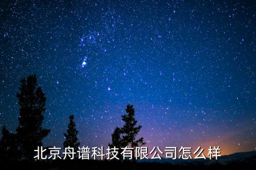 舟譜數(shù)據(jù) 招聘,舟舟數(shù)據(jù)會上市嗎?