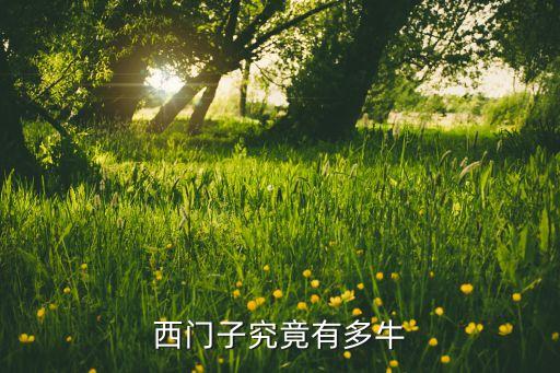 全球最牛自動化公司,我國自動化公司做的最好是哪家?