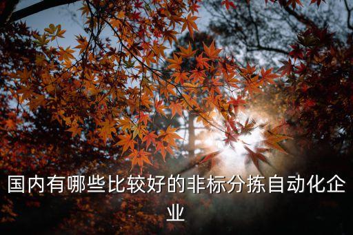 國內(nèi)有哪些比較好的非標(biāo)分揀自動化企業(yè)