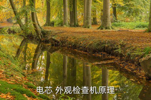 電芯 外觀檢查機(jī)原理
