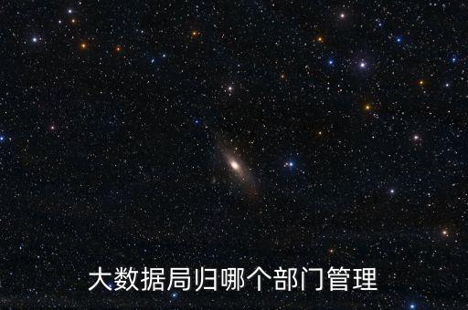 大數(shù)據(jù)管理部,大數(shù)據(jù)局歸哪個(gè)部門管理?