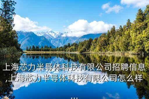 上海芯力半導(dǎo)體科技有限公司招聘信息,上海芯力半導(dǎo)體科技有限公司怎么樣...