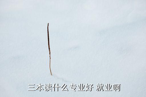  三本讀什么專業(yè)好 就業(yè)啊