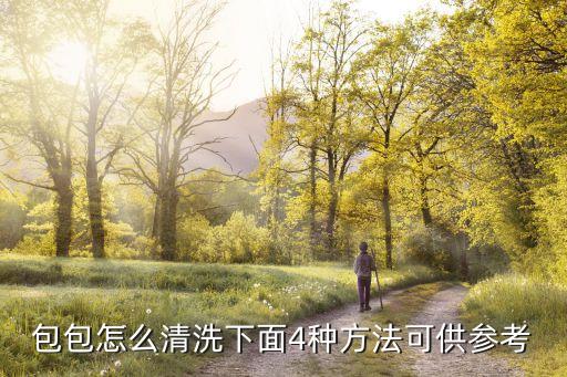 包包怎么清洗下面4種方法可供參考