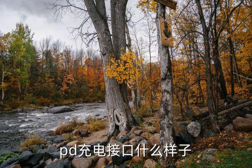 usb pd標(biāo)準(zhǔn)數(shù)據(jù)線,typec數(shù)據(jù)線什么是typec
