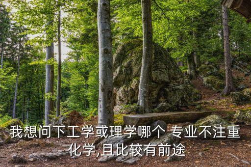 我想問(wèn)下工學(xué)或理學(xué)哪個(gè) 專(zhuān)業(yè)不注重 化學(xué),且比較有前途