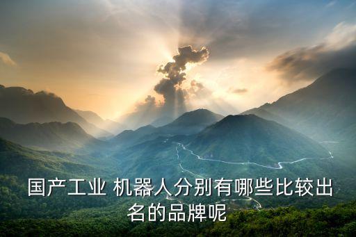 國(guó)產(chǎn)機(jī)器人最大生產(chǎn)商,機(jī)器人生產(chǎn)商有哪些