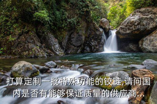 打算定制一批特殊功能的鉸鏈,請問國內(nèi)是否有能夠保證質(zhì)量的供應(yīng)商...