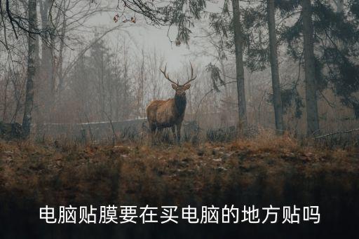電腦貼膜要在買電腦的地方貼嗎