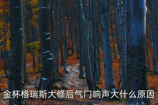 金杯格瑞斯大修后氣門響聲大什么原因