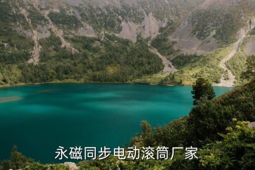 永磁同步電動滾筒廠家
