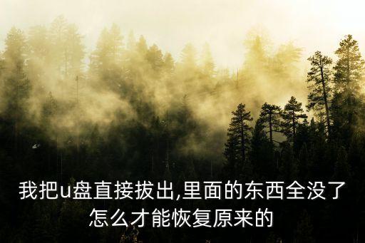 我把u盤直接拔出,里面的東西全沒了怎么才能恢復(fù)原來的