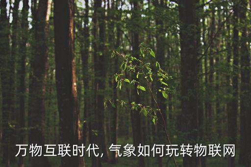 萬物互聯(lián)時(shí)代, 氣象如何玩轉(zhuǎn)物聯(lián)網(wǎng)