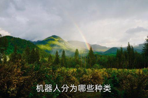 玩具是機(jī)器人嗎,玩具機(jī)器人有何不同?