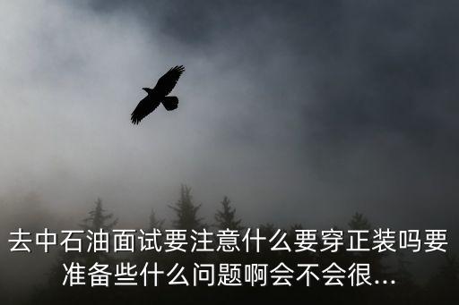 去中石油面試要注意什么要穿正裝嗎要準(zhǔn)備些什么問(wèn)題啊會(huì)不會(huì)很...