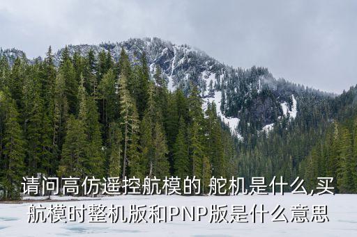 請問高仿遙控航模的 舵機(jī)是什么,買航模時整機(jī)版和PNP版是什么意思