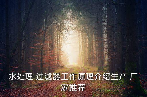 水處理 過濾器工作原理介紹生產(chǎn) 廠家推薦