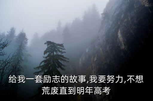給我一套勵(lì)志的故事,我要努力,不想荒廢直到明年高考