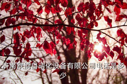 濟南數(shù)字自動化公司,是否去濟南翼菲自動化值得去?