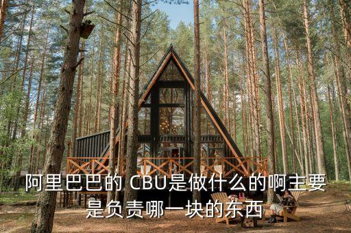 阿里巴巴的 CBU是做什么的啊主要是負(fù)責(zé)哪一塊的東西